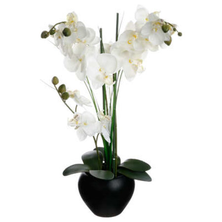 ATMOSPHERA Kunstplant Orchidee in Zwarte Bloempot, Hoogte 53 cm
