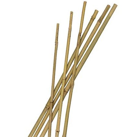 Bamboe 120 cm 8/10 mm 10st.
