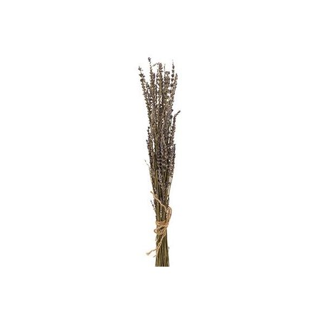 COSY @ HOME Kunstbloemen Lavendel, Paars 4xh60cm