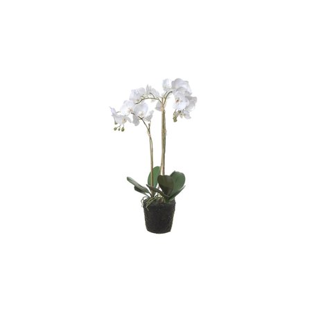 Kunstplant Phalaenopsis op Kluit 70cm Wit