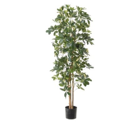 Kunstplant Schefflera 50cm