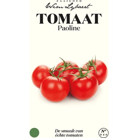 ZADEN WIM LYBAERT Tomaat Paoline