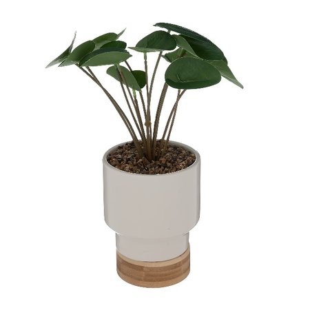 ATMOSPHERA Kunstmatige Plant in Keramische pot, H.26 cm