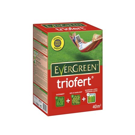 Evergreen Triofert